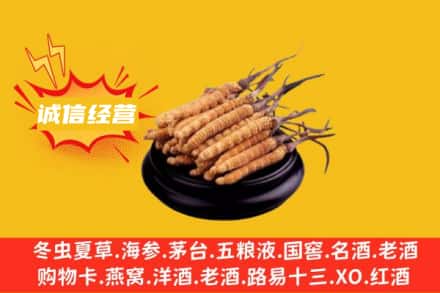 布拖县回收冬虫夏草